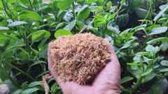 Mua (Bán) Vỏ Trấu Tươi ở Hà Nội - Giá rẻ, Bán lẻ, Bán buôn, số lượng lớn