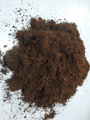 Mụn dừa miền Bắc | Mùn dừa miền Bắc | Xơ dừa miền Bắc - Giá rẻ