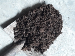 Phân Bò Hà Nội | Giá Rẻ, Nguyên Chất, Giao Hàng Ngay