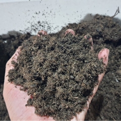 Phân bò Bắc Giang - Tìm đại lý và Trang trại - Giá cực rẻ