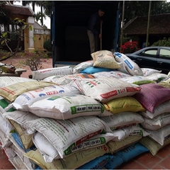 Phân bò Hải Dương | Số lượng lớn + Nhỏ | Hàng tốt + Giá rẻ