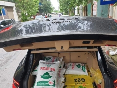 Phân Bò Hà Nội | Giá Rẻ, Nguyên Chất, Giao Hàng Ngay