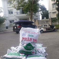 Bán Phân Bò Đã Qua Xử Lý - Giá Rẻ Nhất Vịnh Bắc Bộ, Hàng Tốt