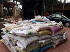 Phân Bò Miền Bắc | Tốt | Giá Rẻ, Sẵn Hàng Cho Trang Trại Lớn