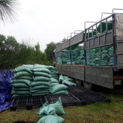 Phân bò ủ hoai mục | Phân bò ủ hoai | Giá rẻ, Nguyên Chất, Phân Tốt