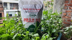 Phân Bò Vĩnh Phúc - Khối Lượng Lớn + Nhỏ, Giá Rẻ, Hàng Tốt