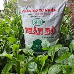 Bán Phân Bò Đã Qua Xử Lý - Giá Rẻ Nhất Vịnh Bắc Bộ, Hàng Tốt