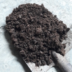 Phân Bò Vi Sinh - Phân bò ủ vi sinh - Sỉ Lẻ, Giá Rẻ, 100% Nguyên Chất, Khô