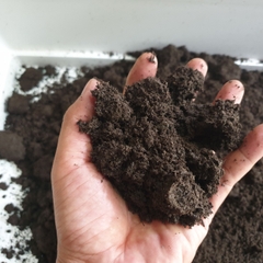 Phân Trùn Quế Bắc Ninh - Giá Rẻ, Nguyên Chất, Phân Phối Khối Lượng Lớn