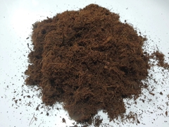 Mụn dừa Hà Nội | Xơ dừa Hà Nội - Giá cực rẻ, đã xử lý, sử dụng ngay