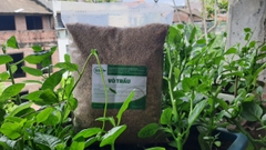 Mua (Bán) Vỏ Trấu Tươi ở Hà Nội - Giá rẻ, Bán lẻ, Bán buôn, số lượng lớn