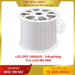 LED DÂY URANUS