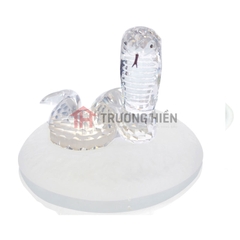 Chú Rắn Trên Tảng Đá