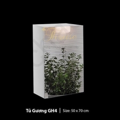 TỦ GƯƠNG PHÒNG TẮM ROLAND GH4