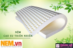 NỆM CAO SU THIÊN NHIÊN THẮNG LỢI