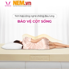 NỆM CAO SU THIÊN NHIÊN THẮNG LỢI