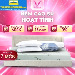 Nệm Cao Su Hoạt Tính Thắng Lợi