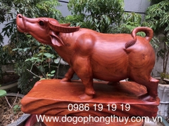 Tượng Tráu gỗ hương phong thủy