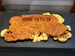 Khay trà linh chi gỗ nu hương