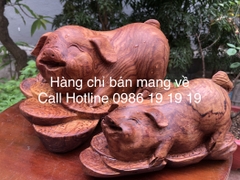 Tượng Heo Phong Thủy