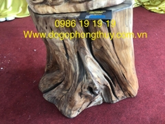 Đôn Gốc Lũa Ngọc am Hà Giang