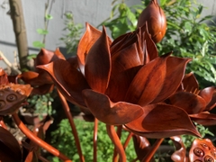 Hoa sen gỗ hương Gia lai