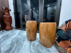 Đôn trống gỗ bách xanh mộc châu