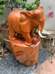 Tượng Voi gỗ Ngọc Am