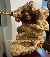Tượng đạt ma gỗ nu hương