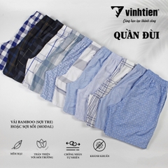 Quần Đùi Nam Họa Tiết Bamboo/Modal 119 Vĩnh Tiến - Nhiều Màu