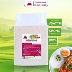 Gạo MN66