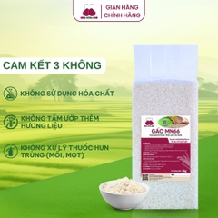 Gạo MN66