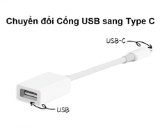 Cổng Chuyển Đổi Đầu USB Sang TYPE C