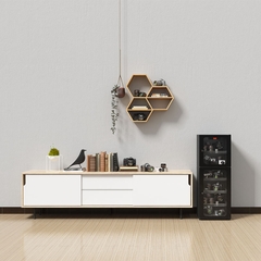 Tủ chống ẩm cao cấp Lenthem DT-170D, Đèn Led, Chính hãng, Có CO/CQ/VAT