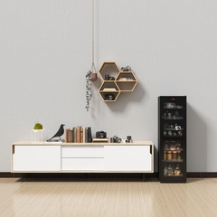 Tủ chống ẩm cao cấp Lenthem DT-210D, Đèn Led, Chính hãng, Có CO/CQ/VAT