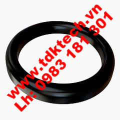 D RING SEAL