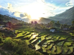 Sapa – Lao Chai – Ta Van Home Stay – Giang Ta Chai – Ban Ho