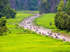 Fullday Hoa Lu - Tam Coc- Bich Dong