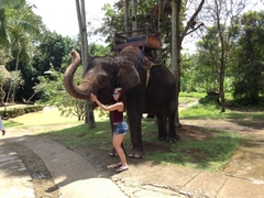 Elephant Riding - Full Day Itinerary