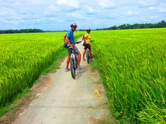 Fullday Biking In Hoi An & Tra Que Village