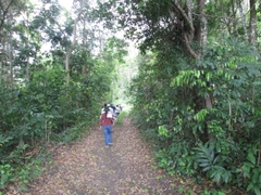 Fullday Treeking at Cuc Phuong National Forest