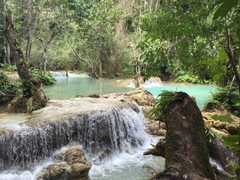 Fullday Elephant Village – Kuang Si Waterfalls