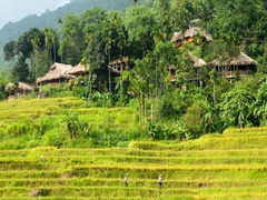 7 Days Pu Luong Nature Reserve – Mai Chau – Hanoi