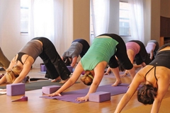 8 Câu hỏi cơ bản về yoga bạn nhất định phải biết