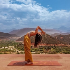 Thảm yoga Liforme Anh (UK) - Chính sách bán hàng từ hãng