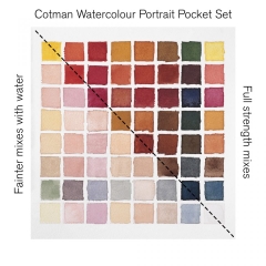 Màu nước Winsor & Newton Cotman - Set 8 màu theo chủ đề