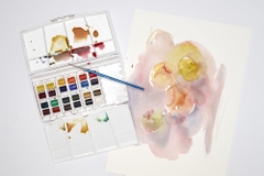 Màu nước Winsor & Newton Cotman - Set Painting Plus 24 màu