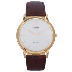 Đồng hồ Eco-Drive Nam Citizen AR1113-12A