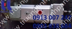 1877419 PUMP GP-GEAR
