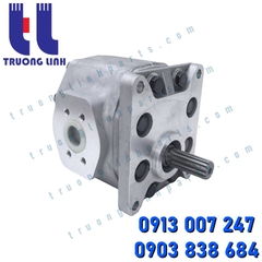 704-12-38100 Komatsu Hydraulic Gear Pump